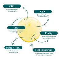 Shop CBD Oil Tinctures | The Hemp Doctor