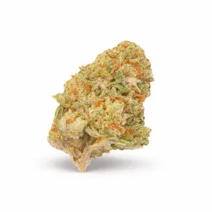 ZAZA | ORANGE CREAMSICLE THCA EXOTIC FLOWER