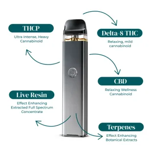 KAYO | THC BLEND LIVE RESIN DISPOSABLE VAPE | 1G