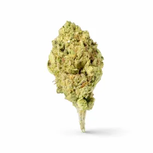 PREMIUM THCA BIG BUDS | BULK ROTATING FLOWER STRAINS