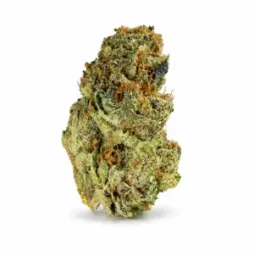 ZAZA | THCA Exotic Flower | Purple Princess