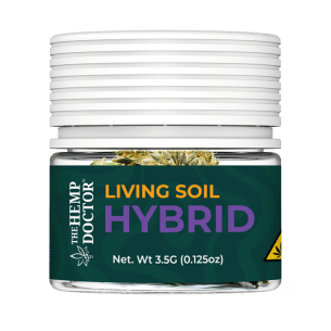 LIVING SOIL | THCA FLOWER | ZAHITI LIME