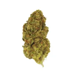 ZAZA | THCA EXOTIC FLOWER | CHERRY GUMBO