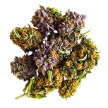Greasy Pink hemp flower