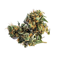 Dolce Gelato hemp flower