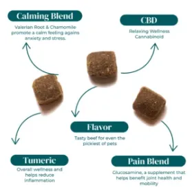 PET TREAT BOTH INFOGRAPHIC