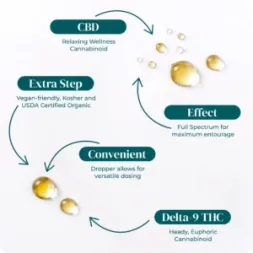 33_1_USDA_ORGANIC_CBD_TINCTURE_INFOGRAPHIC 33 1 USDA ORGANIC CBD TINCTURE INFOGRAPHIC
