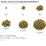 Visual guide to cannabis weight measurements