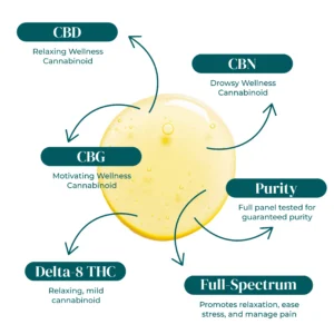 CBD_CBG_CB FULL SPECTRUM HIGH OCTANE TINCTURES 30ML CBD CBG CB FULL SPECTRUM HIGH OCTANE TINCTURES 30ML