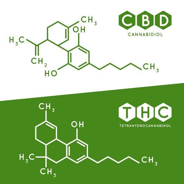 Thc Cbd Formula Cannabidis