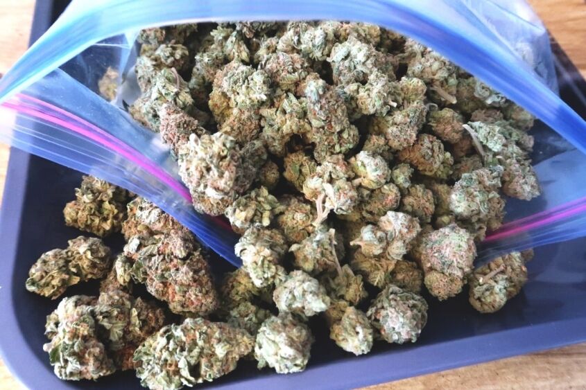 What is a weed salad?