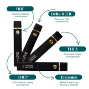 how much is elf bar vape Why Disposable Vapes Leak Oil in Your Mouth - Quick Fixes