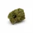 AIRHEAD RUNTZ_FLOWER
