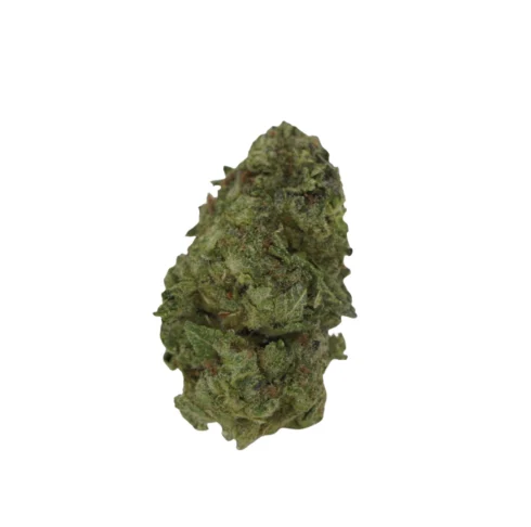 gorilla breath zaza gorilla breath zaza