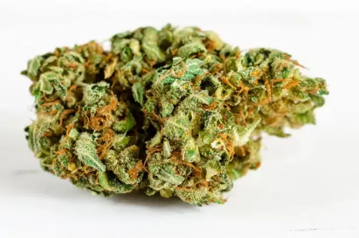 a close up of a green Runtz bud