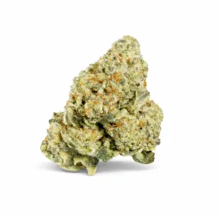 ZAZA | THCA EXOTIC FLOWER | SINGAPORE SLING
