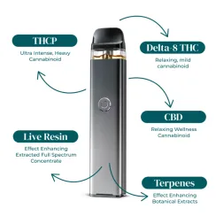 KAYO | THC BLEND LIVE RESIN DISPOSABLE VAPE | 1G