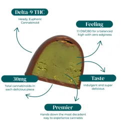 CBD:D9 THC DUBAI CHOCOLATES | 30MG