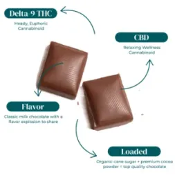 CBD_D9_THC_CHOCOLATE_BARS_300MG_INFOGRAPHIC CBD D9 THC CHOCOLATE BARS 300MG INFOGRAPHIC