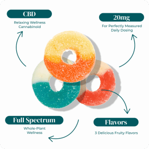 REVIVE | CBD GUMMY SAMPLER BUNDLE | 20MG