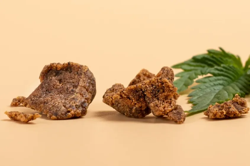 Brown cannabis hash with leaf