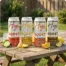 Boost – Slim | D9-THCV 15mg Seltzer_LIFESTYLE