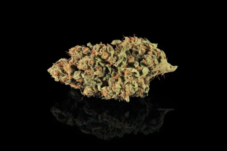 Close-up of cannabis bud on black