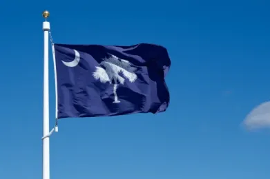 South Carolina state flag waving
