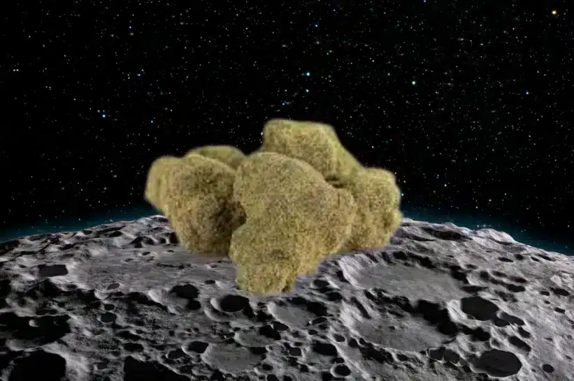 Moon rock weed floating on top of the moon