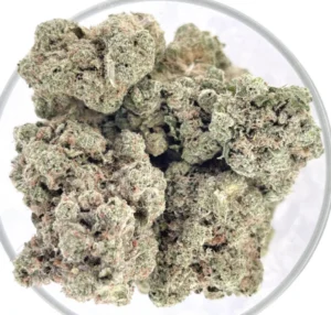 a close up of a bowl of exotic vanilla THCA flower