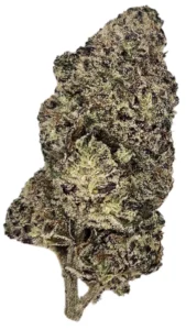 a close up of a future haze cannabis