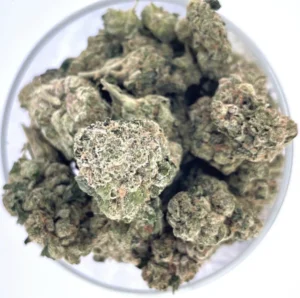 a bowl of greasy zkittles buds