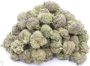 a pile of green and purple platinum purple cookies strain