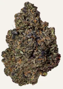 a close up of a secret cookies bud
