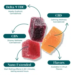 CBN:CBD:D9 THC EXTENDED-RELEASE NIGHTTIME GUMMIES | 30MG