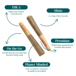 THCA SUGAR DIAMOND INFUSED PRE-ROLLS | 5-PACK TINS_INFOGRAPHIC THCA SUGAR DIAMOND INFUSED PRE ROLLS 5 PACK TINS INFOGRAPHIC
