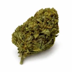 3.5G PREMIUM THCA FLOWER | ROTATING STRAINS