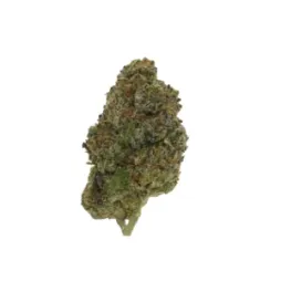 ZAZA | THCA EXOTIC FLOWER | GELATO KING
