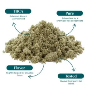 THCA_BUBBLE_HASH_2G_INFOGRAPHIC