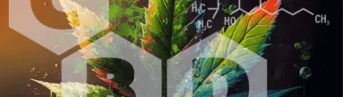 background 12