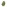 zahiti lime living soil