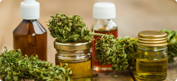 Hemp extract oils in amber bottles and jars next to dried hemp buds