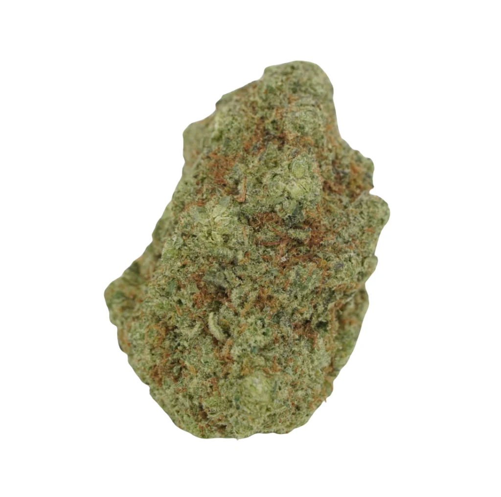 zahiti lime living soil