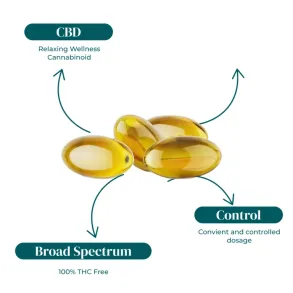REVIVE | Broad Spectrum CBD Softgels | THC Free