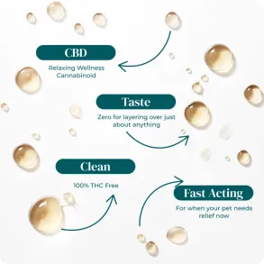 Organic CBD Pet Tincture