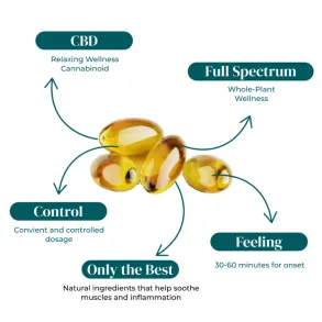 REVIVE | Full Spectrum CBD Softgels