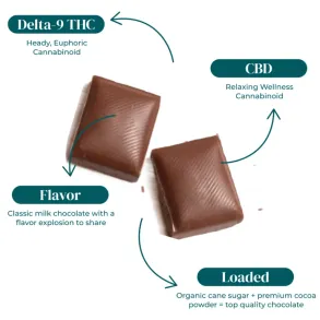 CBD:D9 THC CHOCOLATE BARS | 300MG