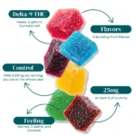 D9 THC GUMMY SAMPLER INFOGRAPHIC 2