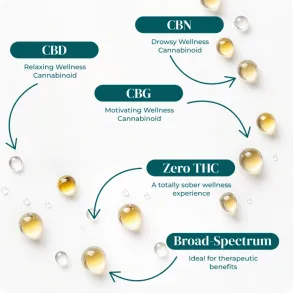 THC-FREE CBD HIGH-OCTANE TINCTURES | 30ML