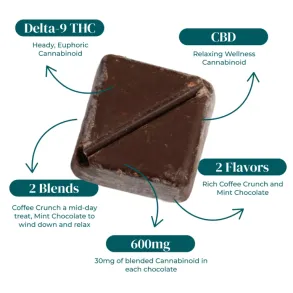 CBD:D9 THC BLEND CHOCOLATE BITES | 20CT | 30MG